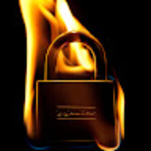 Meet your Posher, Lewis